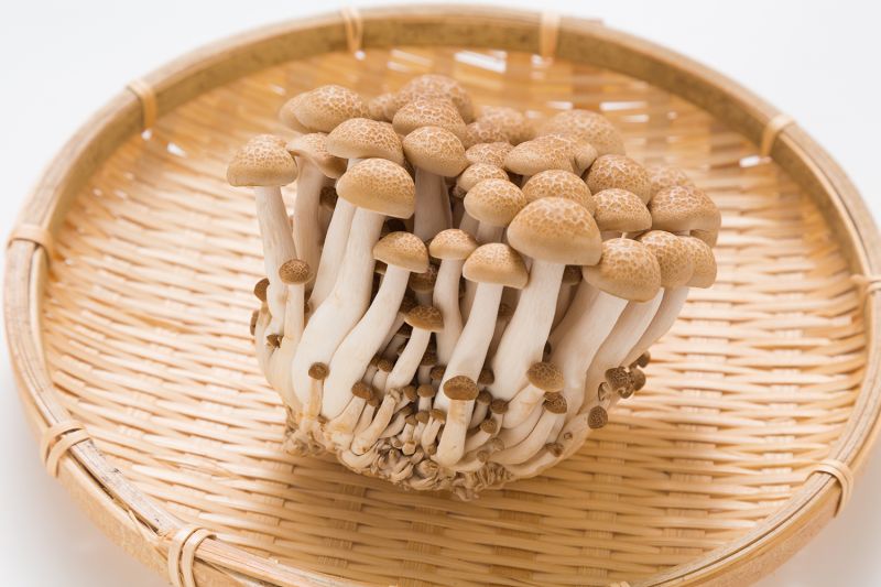 nấm hải sản Shimeji